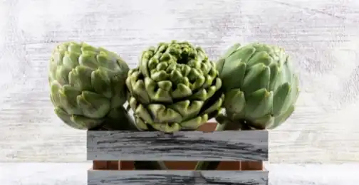 Artichoke Extract Powder: A Powerful Antioxidant